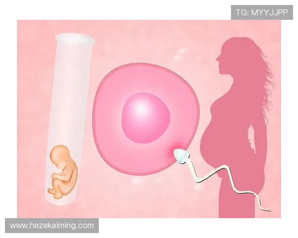 代怀博：探索现代代孕行业的机遇与挑战以及未来发展趋势