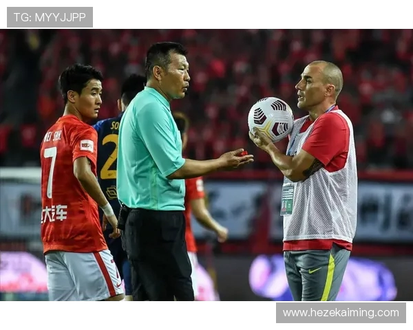 克罗地亚与尼日利亚比赛裁判的判罚争议与影响分析